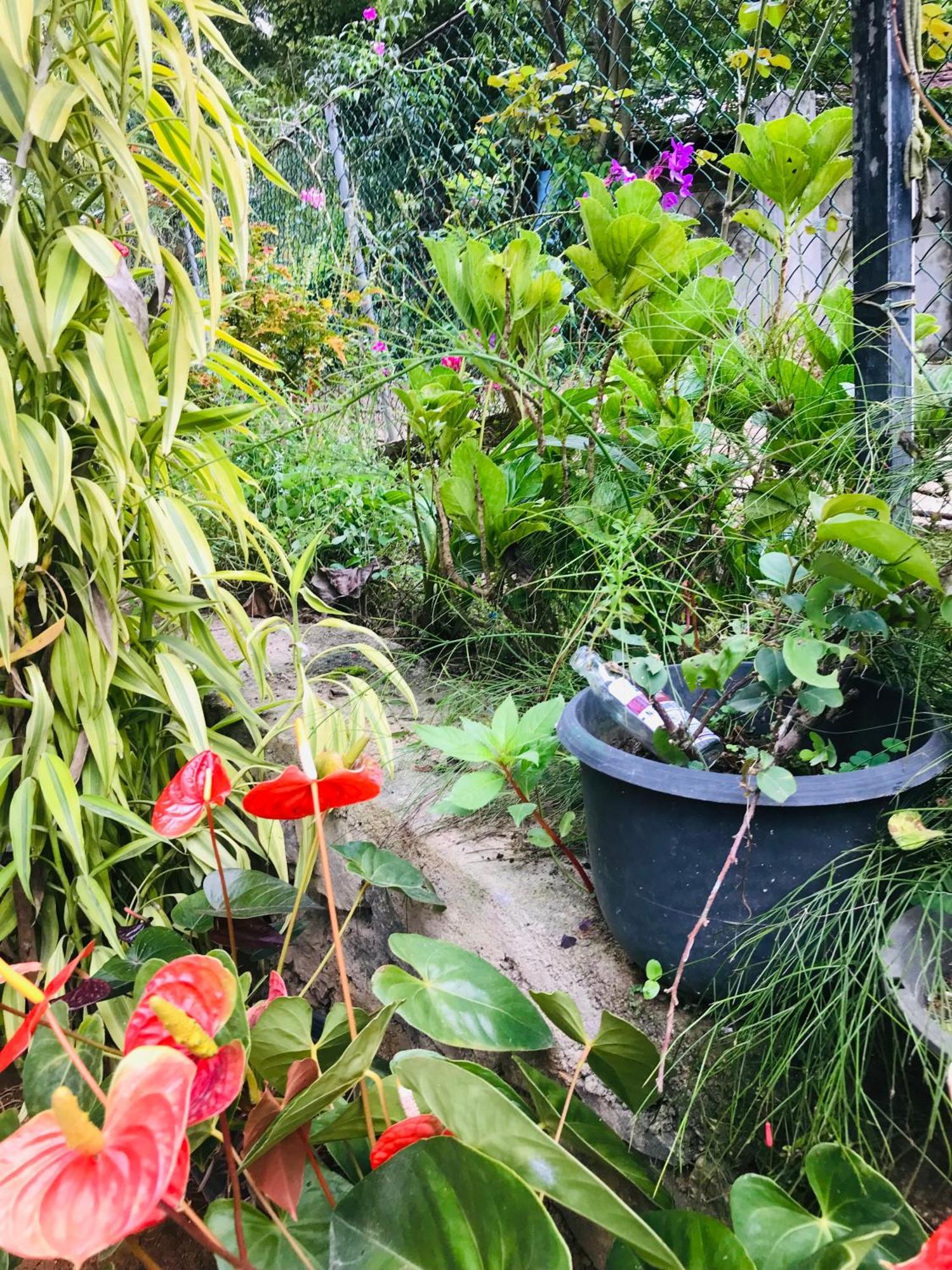 Cinnamon Homestay Ella Esterno foto
