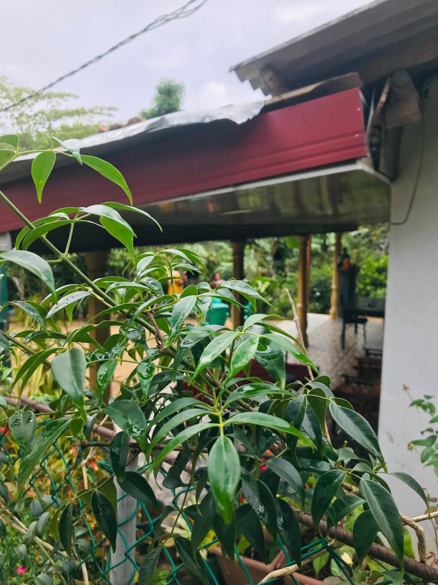 Cinnamon Homestay Ella Esterno foto