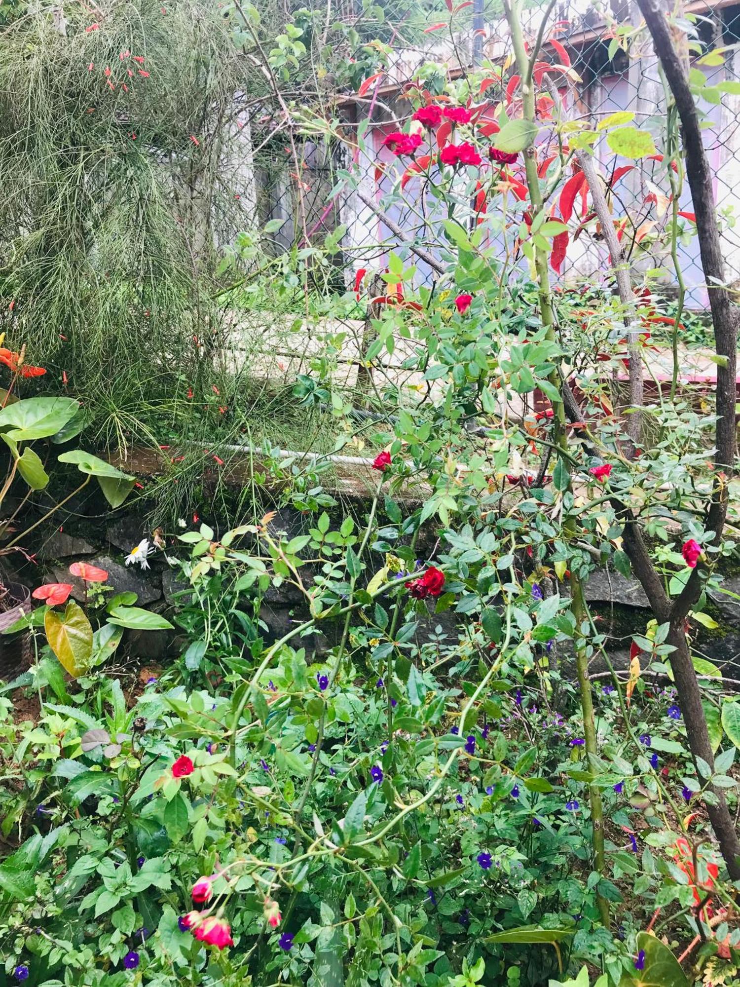 Cinnamon Homestay Ella Esterno foto