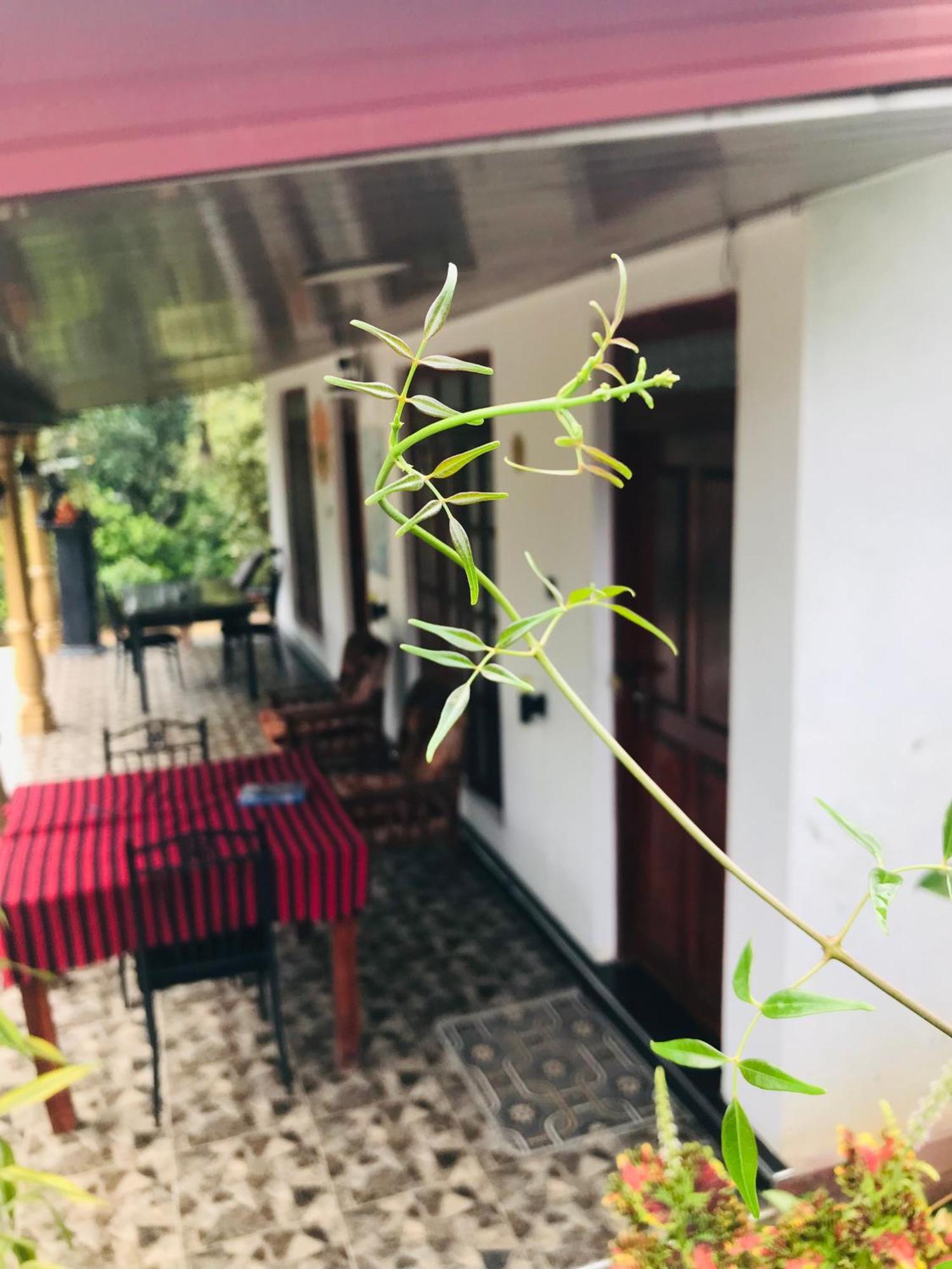 Cinnamon Homestay Ella Esterno foto