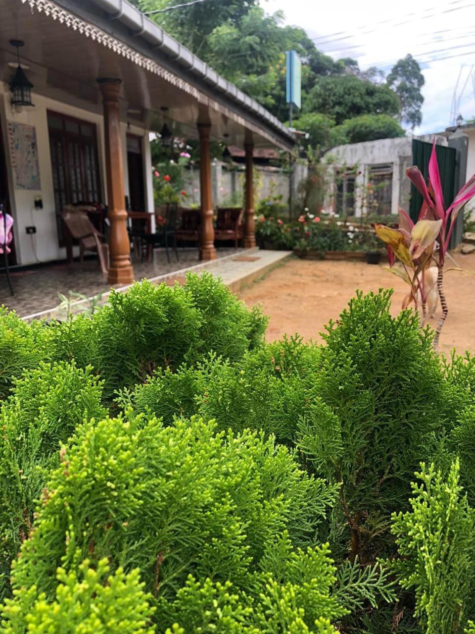 Cinnamon Homestay Ella Esterno foto
