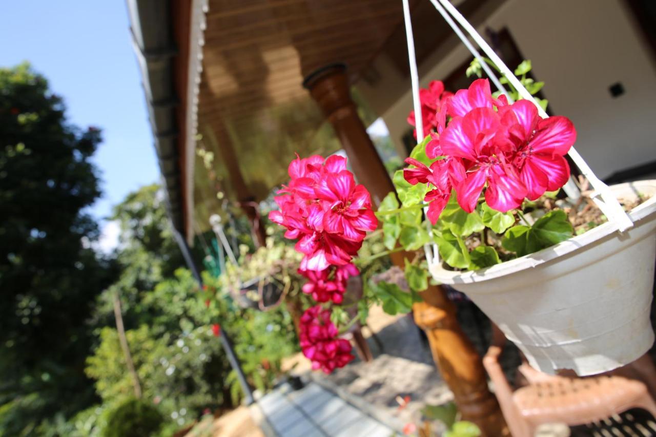 Cinnamon Homestay Ella Esterno foto